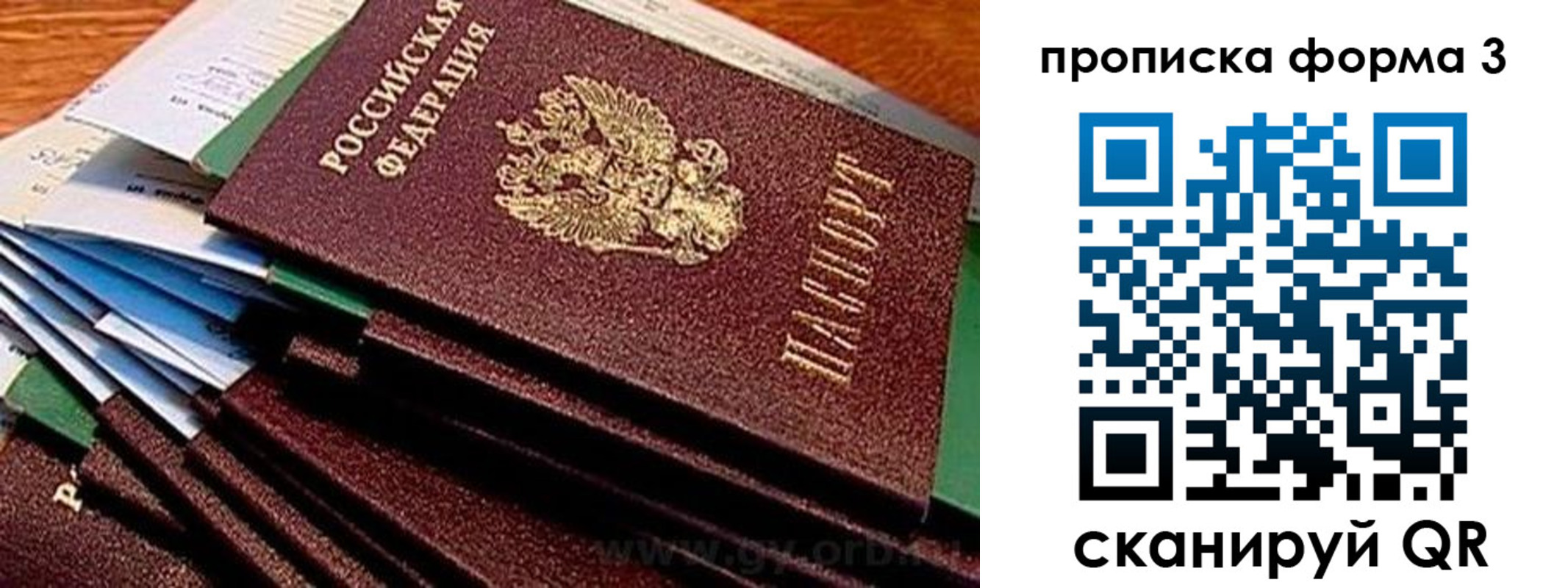 прописка иностранных граждан в Пионерском