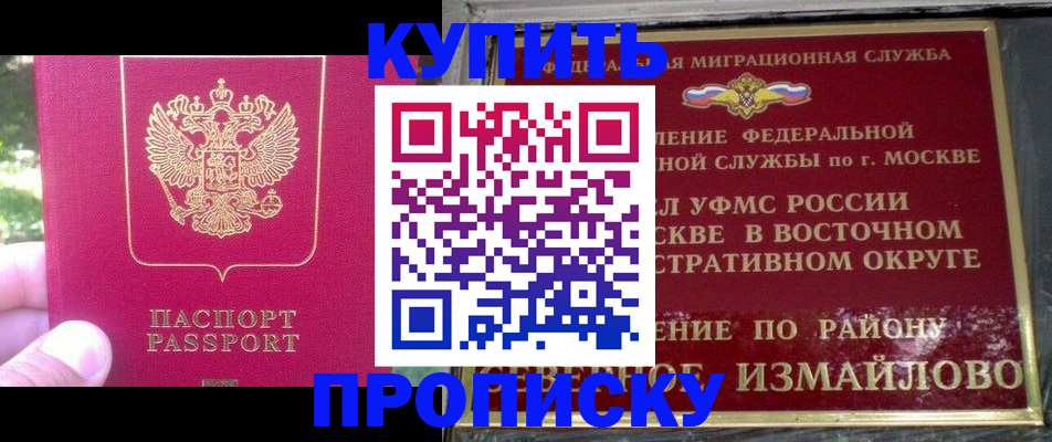 прописка паспорт в Пионерском