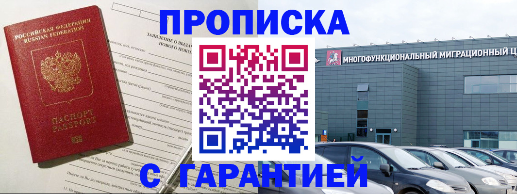 прописка поиск в Пионерском